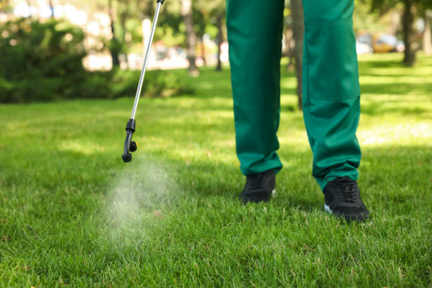 Best Residential Pest Control  in Layton, UT